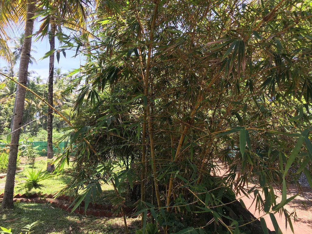 Divine Bliss Beach Resort Varkala Kültér fotó