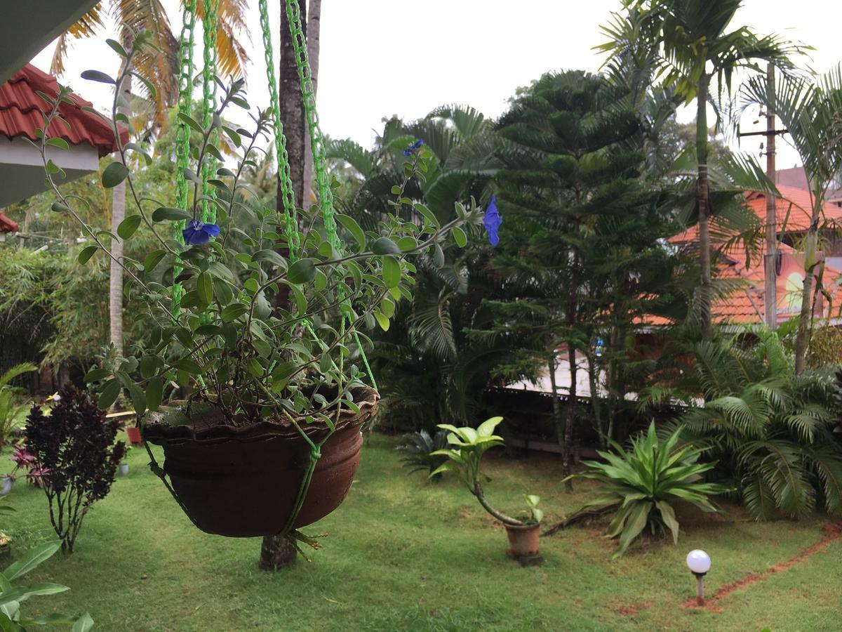 Divine Bliss Beach Resort Varkala Kültér fotó
