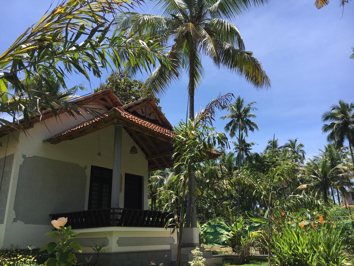 Divine Bliss Beach Resort Varkala Kültér fotó