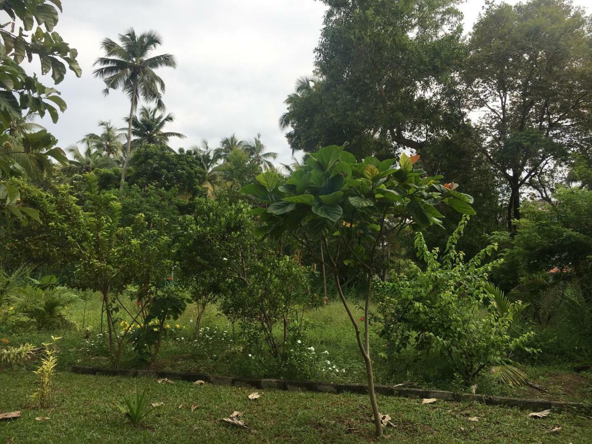 Divine Bliss Beach Resort Varkala Kültér fotó