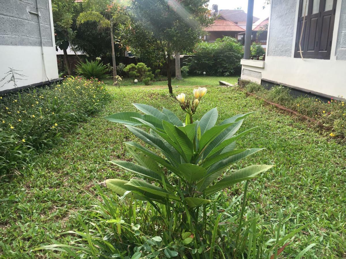 Divine Bliss Beach Resort Varkala Kültér fotó