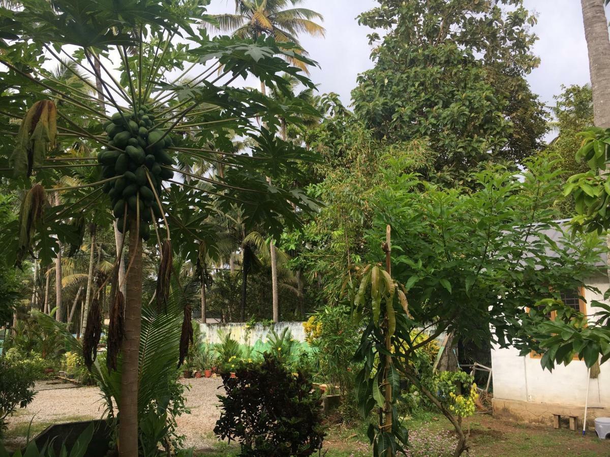 Divine Bliss Beach Resort Varkala Kültér fotó