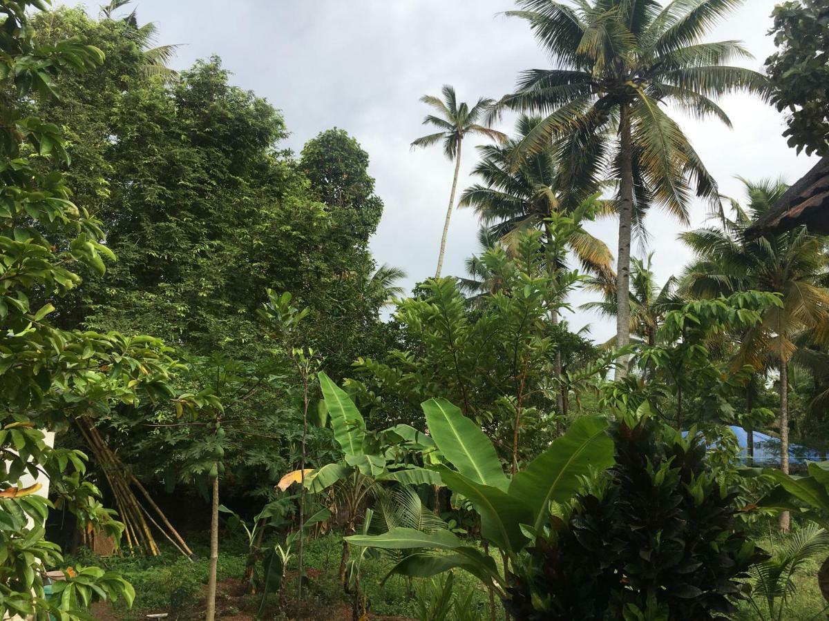 Divine Bliss Beach Resort Varkala Kültér fotó