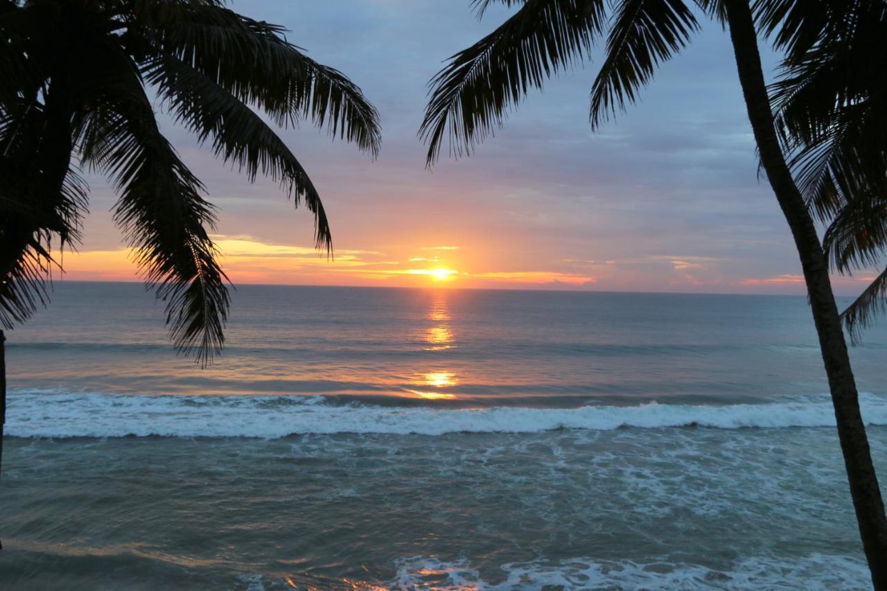 Divine Bliss Beach Resort Varkala Kültér fotó